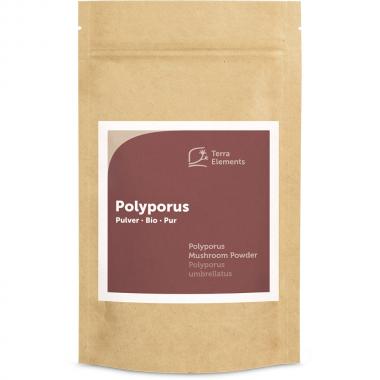 Organic Polyporus Mushroom Powder, 100 g 